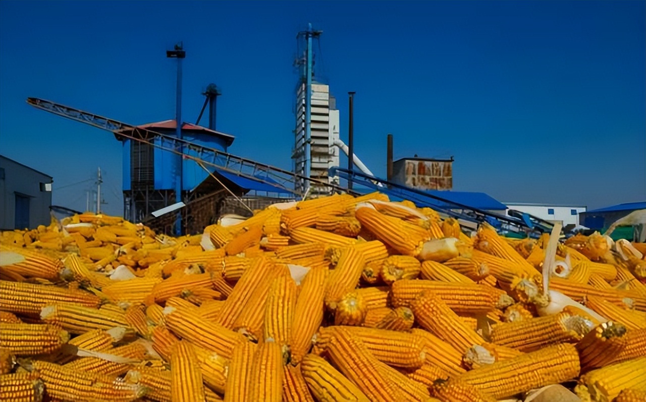 雪上加霜,美国债务尚且还没捋清楚,我国买家三周内取消多笔大单