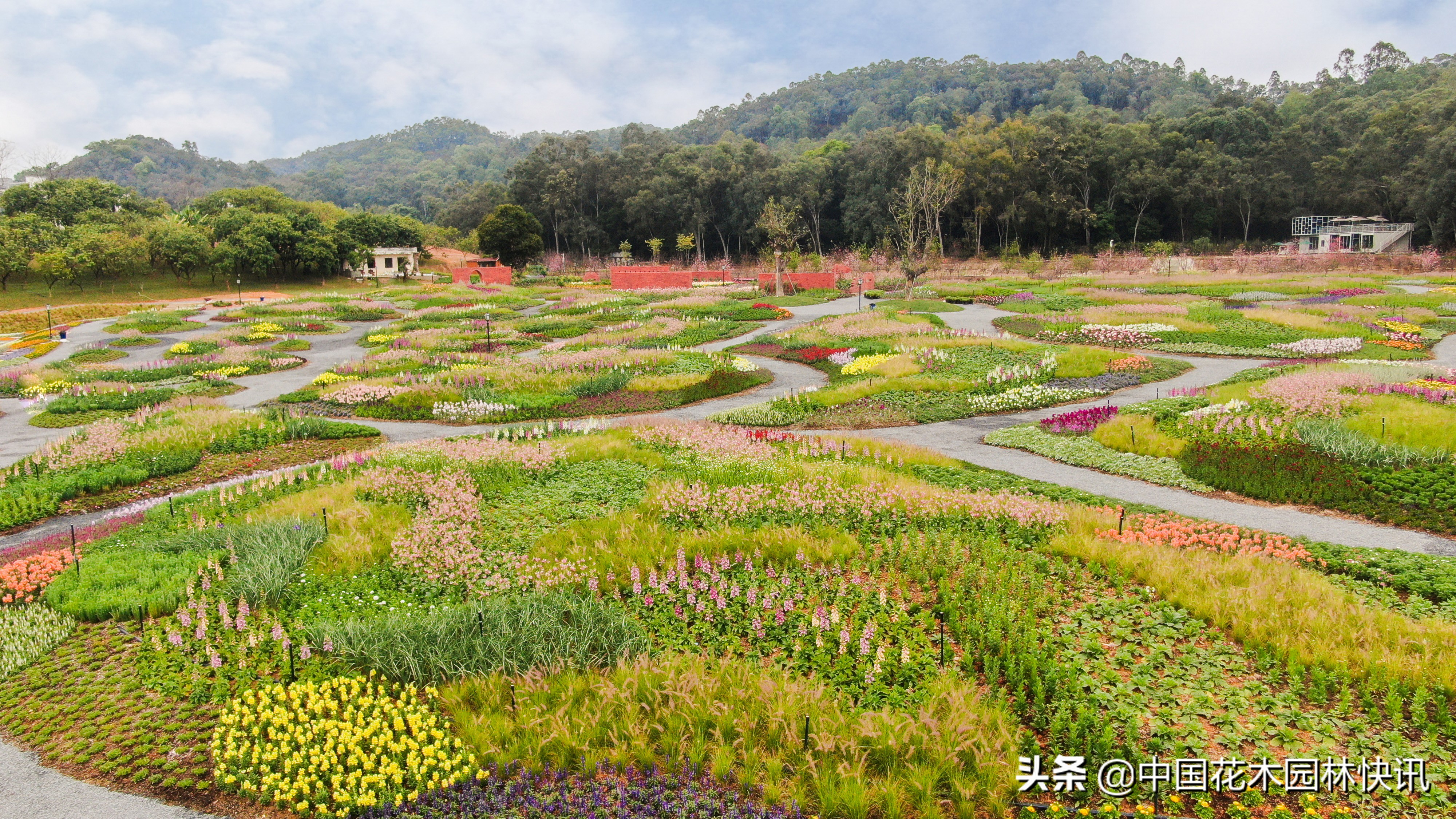 东莞市香遇百花园全景,东莞香遇百花园樱花花期