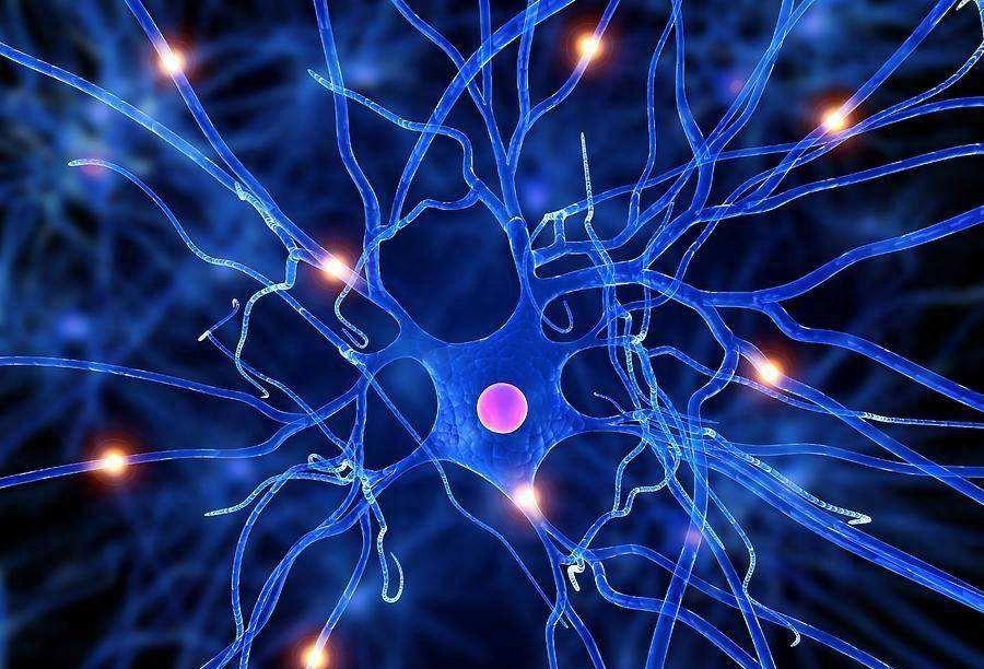 人体里有僵尸基因吗,人死后僵尸因子异常活跃