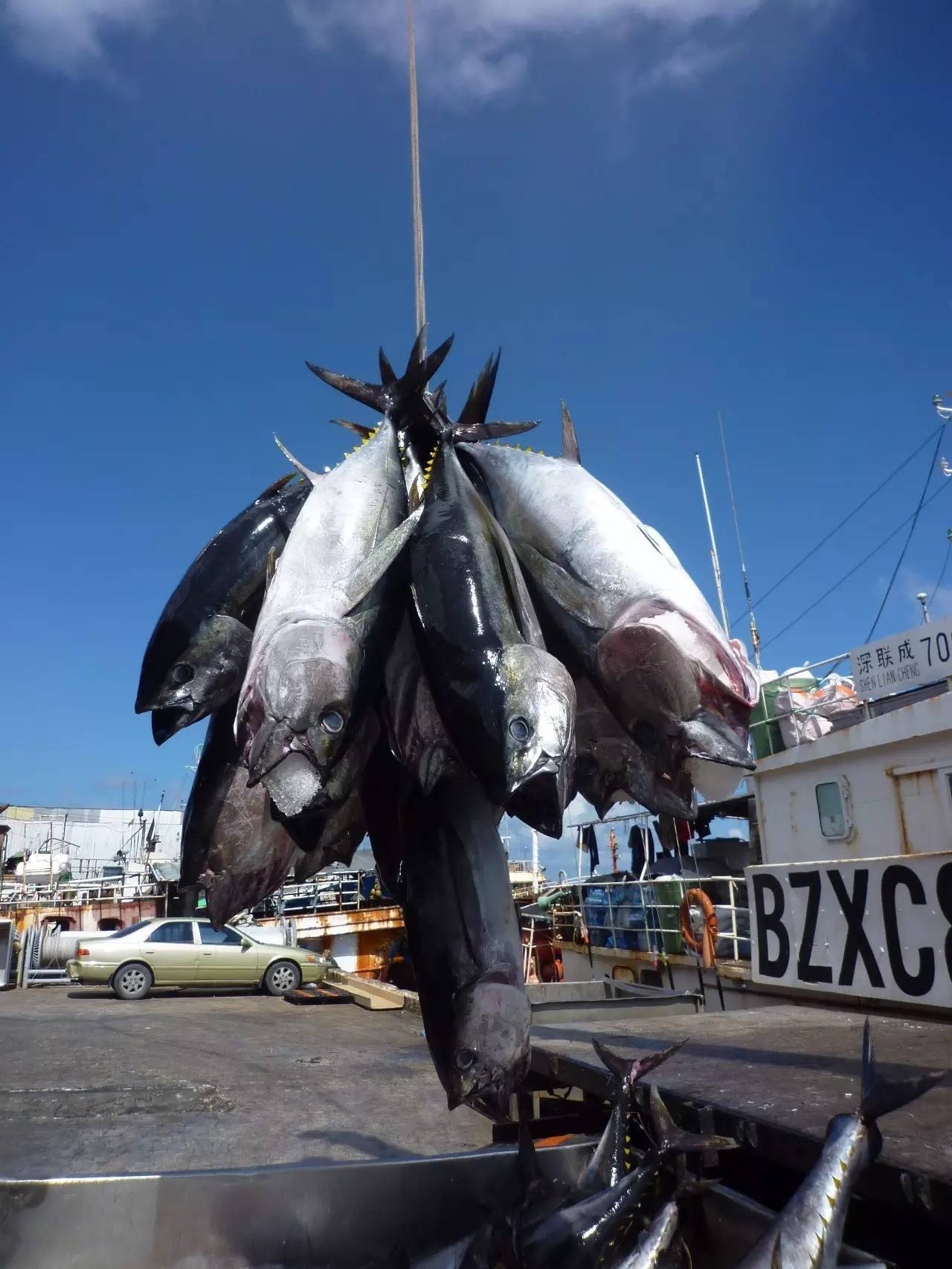 美军关岛基地在哪里,关岛的军事基地在哪