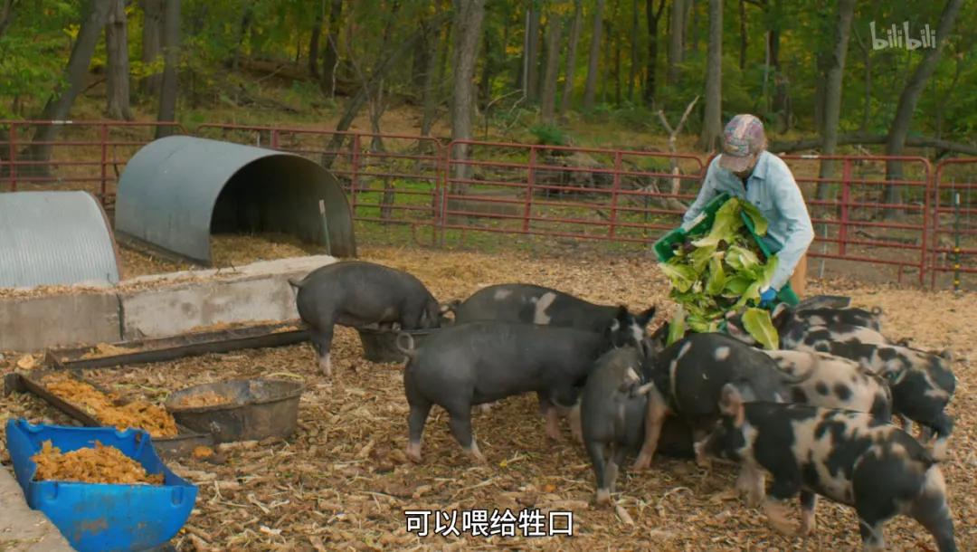 最后一部良心之作,一部真正良心之作全程毫无尿点