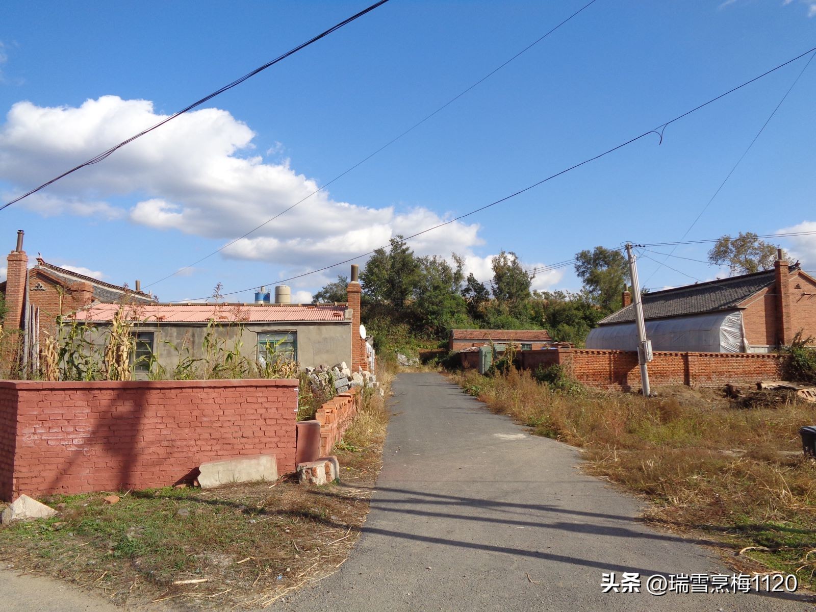 地名档案|旁新线公路沿线村庄之四：沈北新区马刚街道依路村