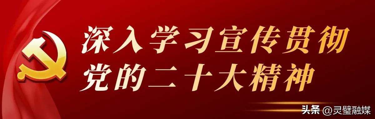 中医院张计臣,灵璧县中医院张计臣治疗特色