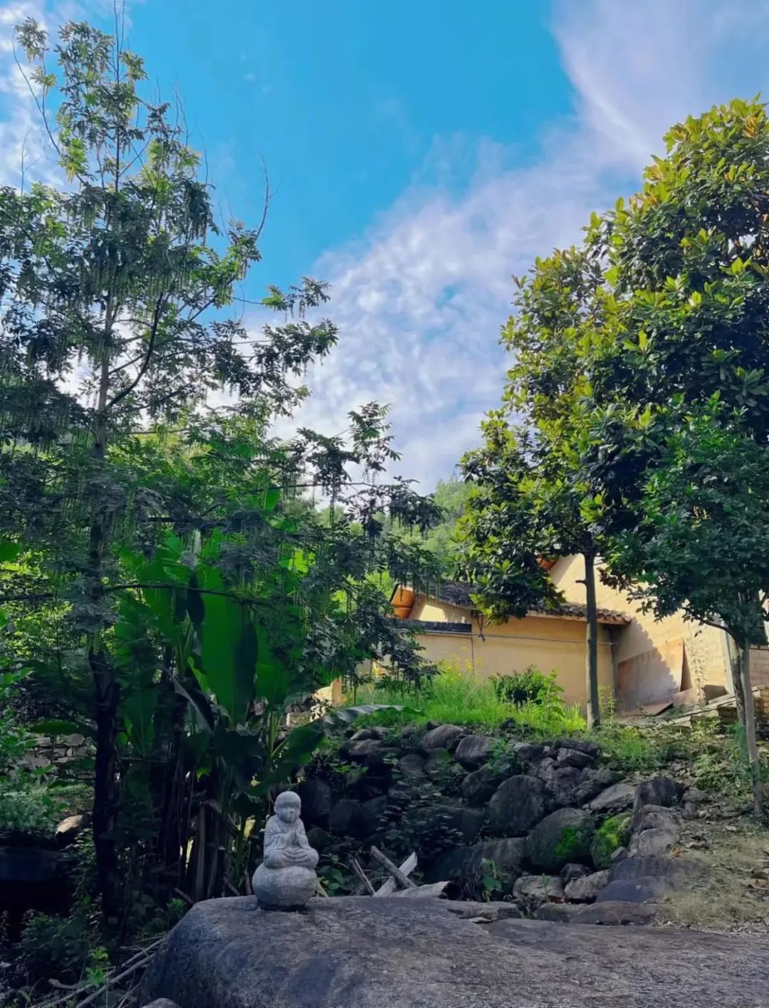 皖南山林里的底气｜炜衡跨境资本市场部成立小记