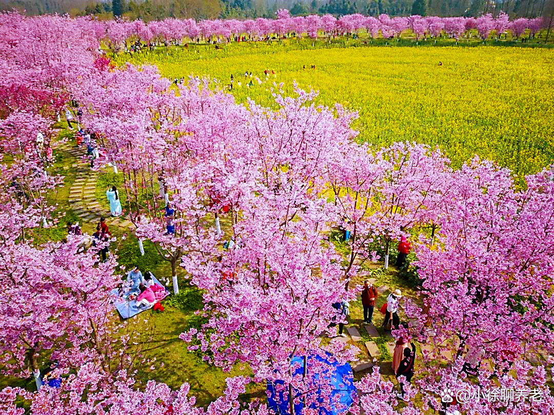 踏春赏花去！我在汤山原著的小江南里，找到了度假胜地的真谛
