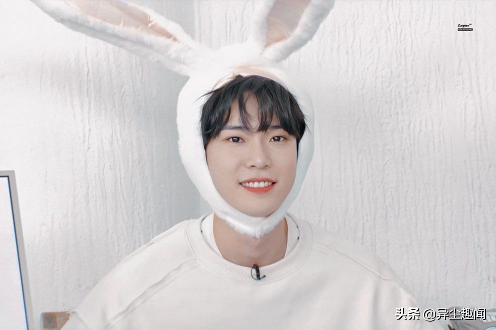 韩国明星秀智是什么脸型,秀智是韩国明星吗