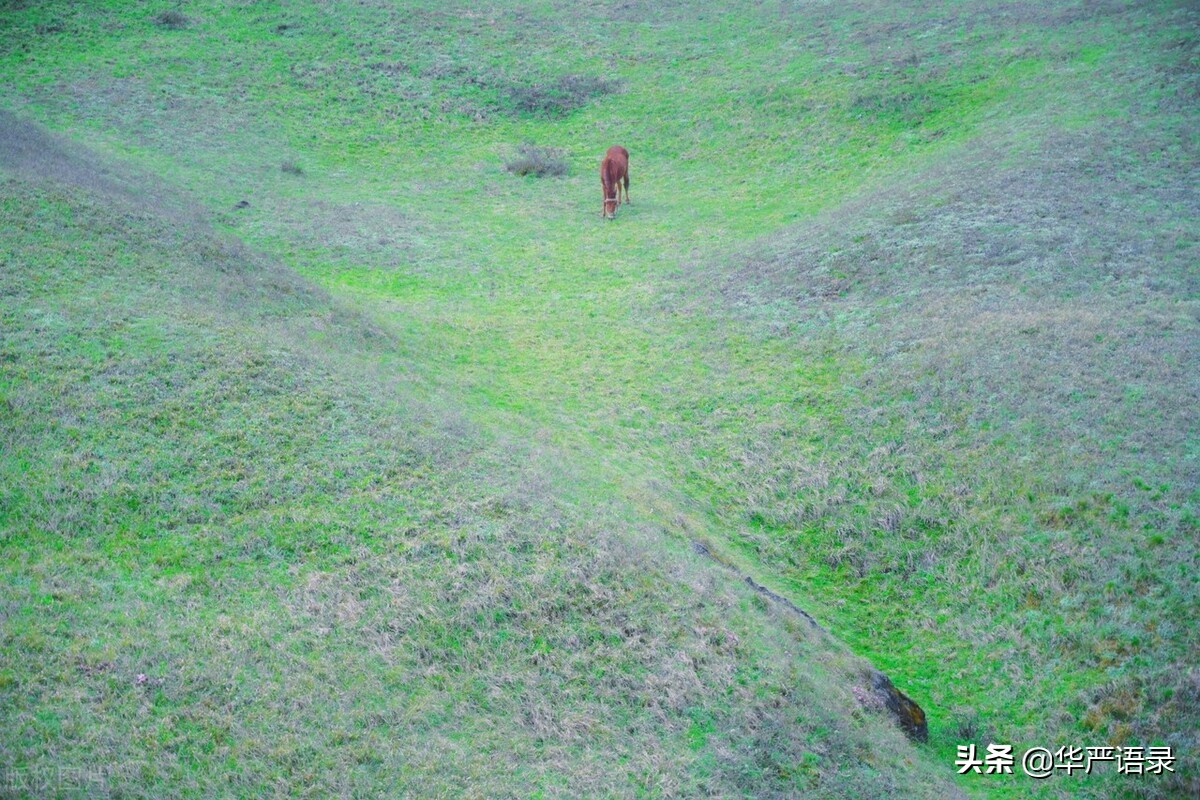 金钱可以收买人心,金钱真的能收买人心吗