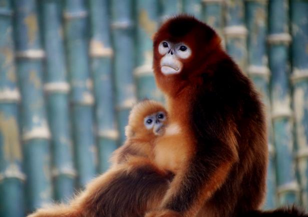 国庆假期长玩得过瘾,国庆不出门一样可以玩的很嗨