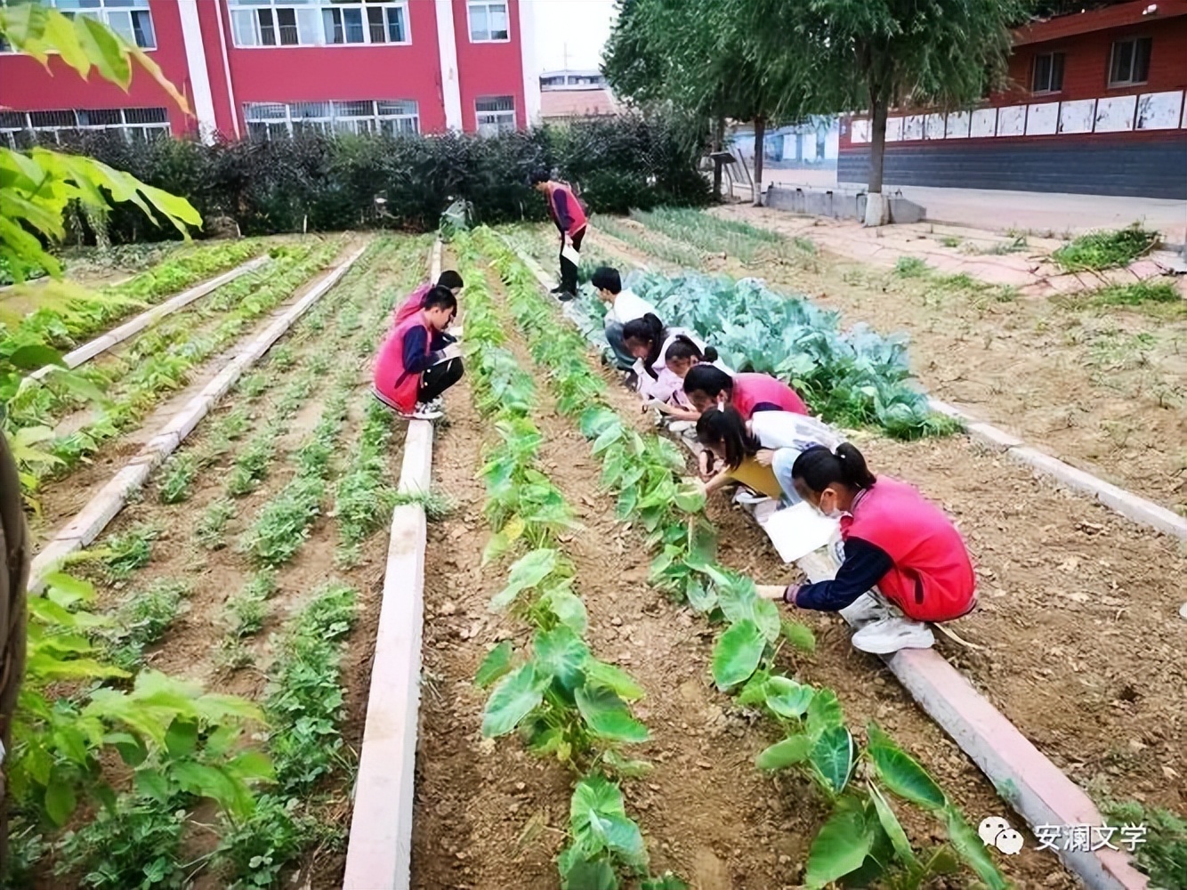 轻舟已过万重山暗示什么,轻舟已过万重山描写哪里