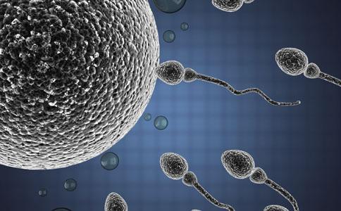 传说中的多*丸睾**是一种什么样的体验？