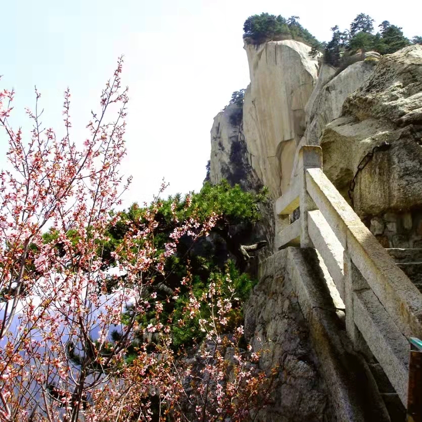 华山攻略北上西下得多长时间,徒步北上西下华山需要走多久