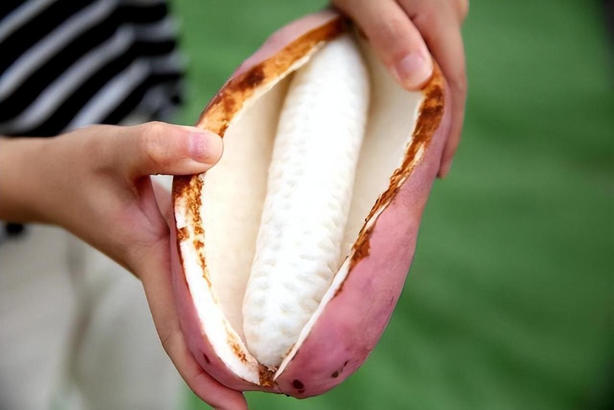 适合8月份吃的应季水果有哪些,每年4-6月份的应季水果有哪些推荐