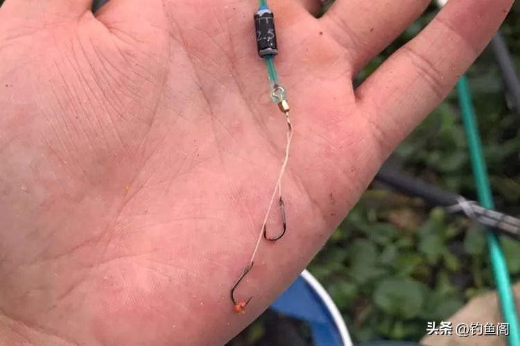 野钓鲫鱼调漂的正确方法和技巧,鲫鱼野钓调漂的正确方法与技巧