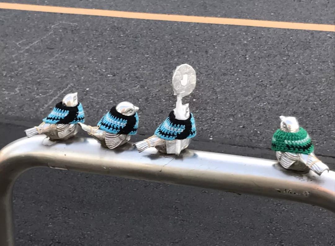 害怕小鸟受凉，有人悄悄为它们织了22年的毛衣