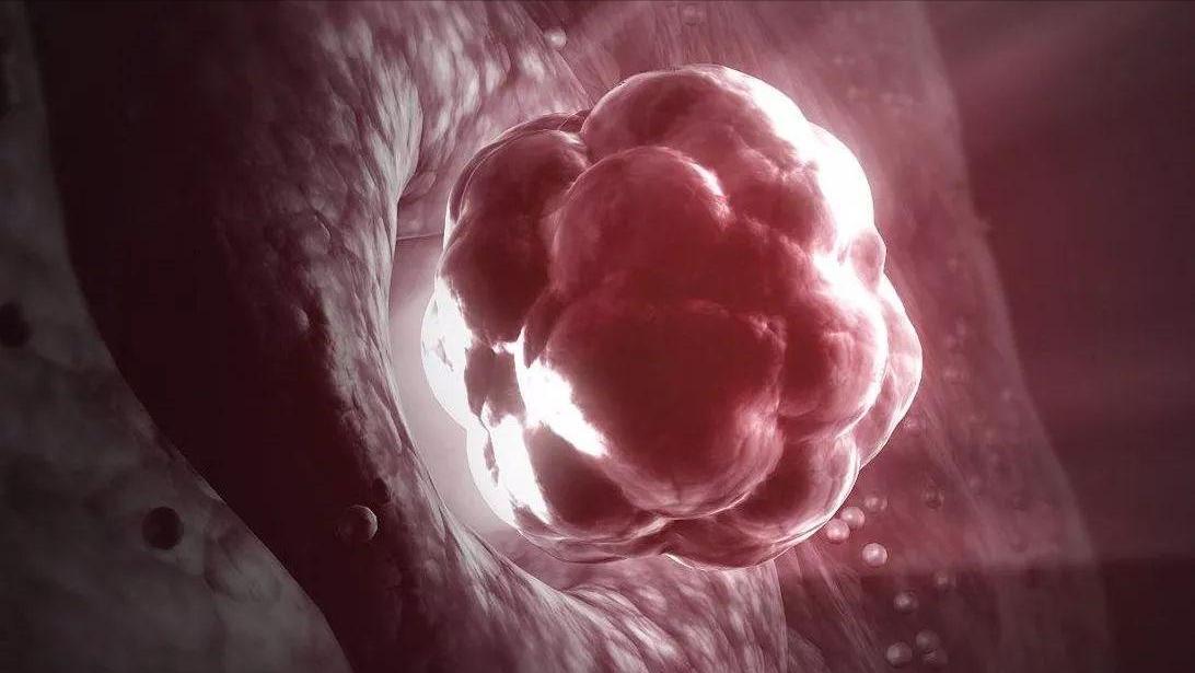 不知道月经准确时间怎么算排卵期,月经过后第几天排卵期