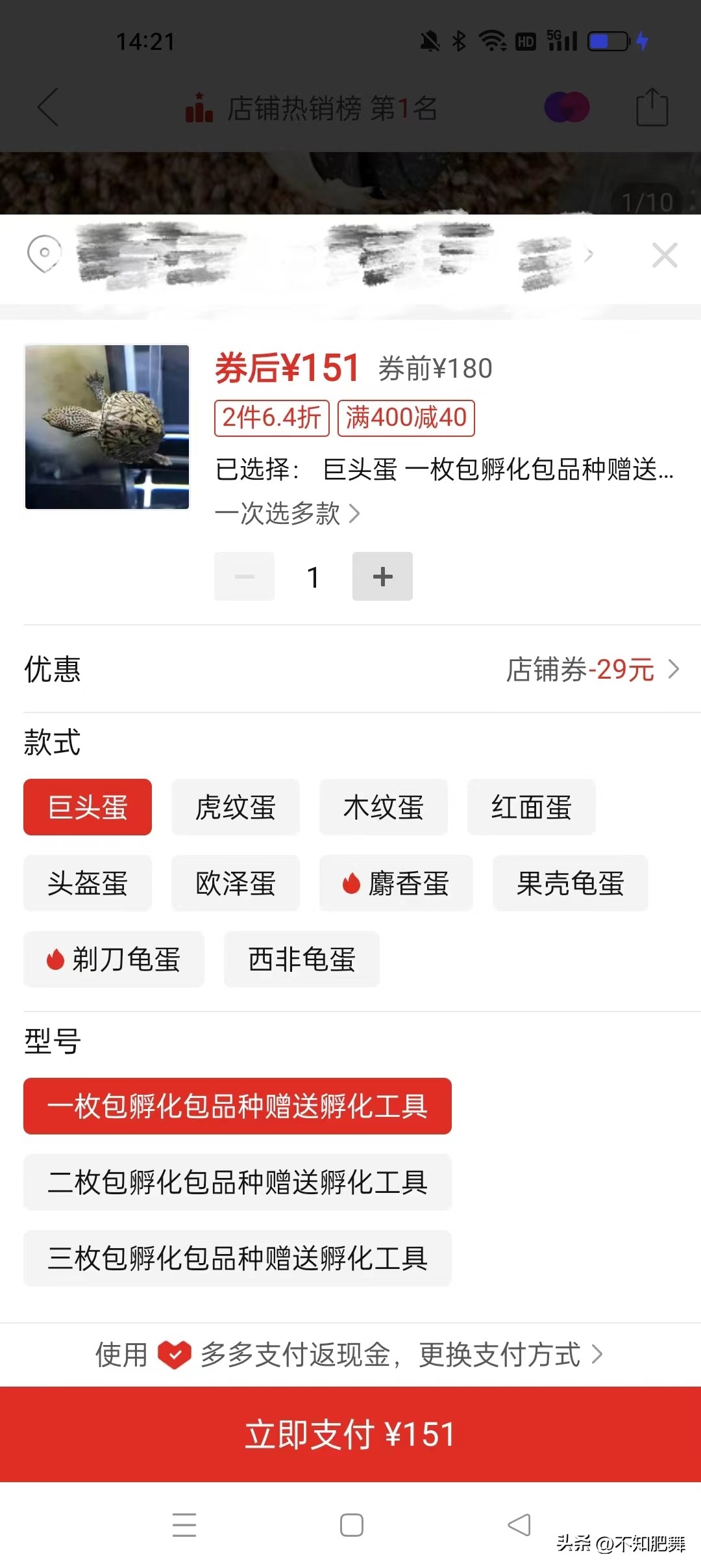 直播卖龟的平台有哪些,淘宝直播卖龟蛋