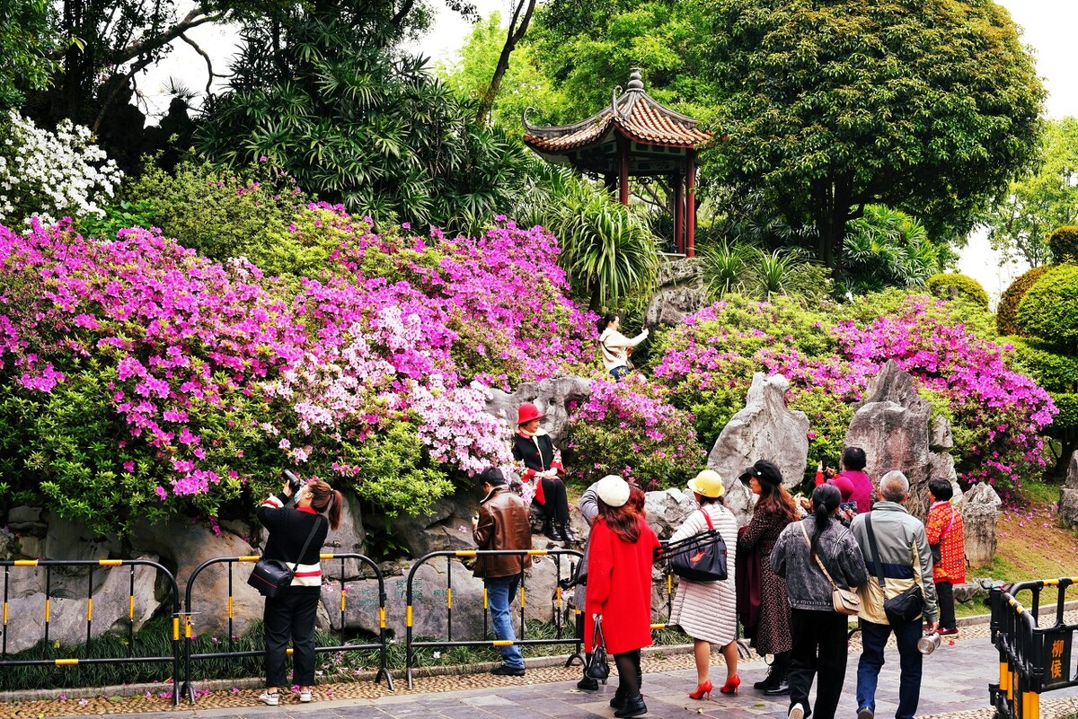 柳州到底是一座怎样的城市,柳州是一个什么样的城市