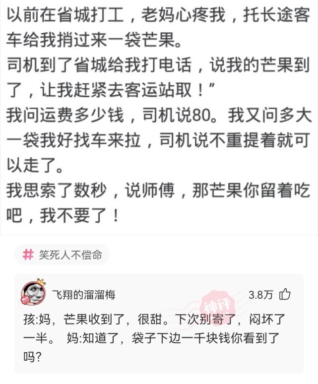 英雄联盟锤石沙雕名字,沙雕问题选哪个人物