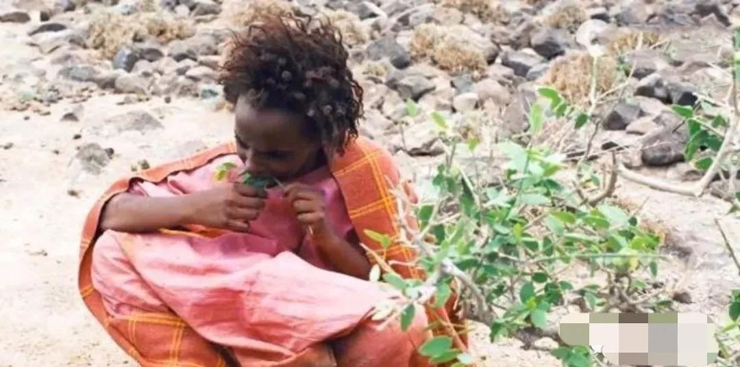 非洲惨无人道的女性割礼，上亿女性惨遭荼毒，究竟何时才能消失？