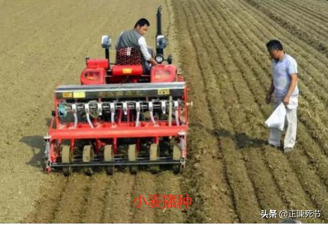 通过毛主席文选看教授专家们对于小麦卖青贮存建议处罚的乱象