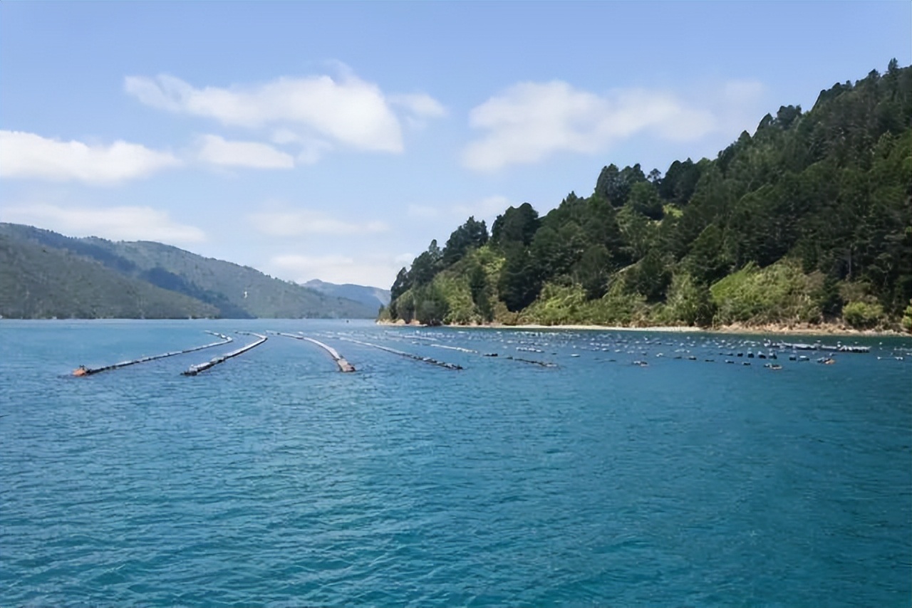 游记分享推送,游记分享我的旅行日记