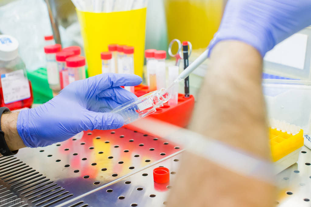 干细胞治疗新冠肺炎文献,干细胞分化的研究进展