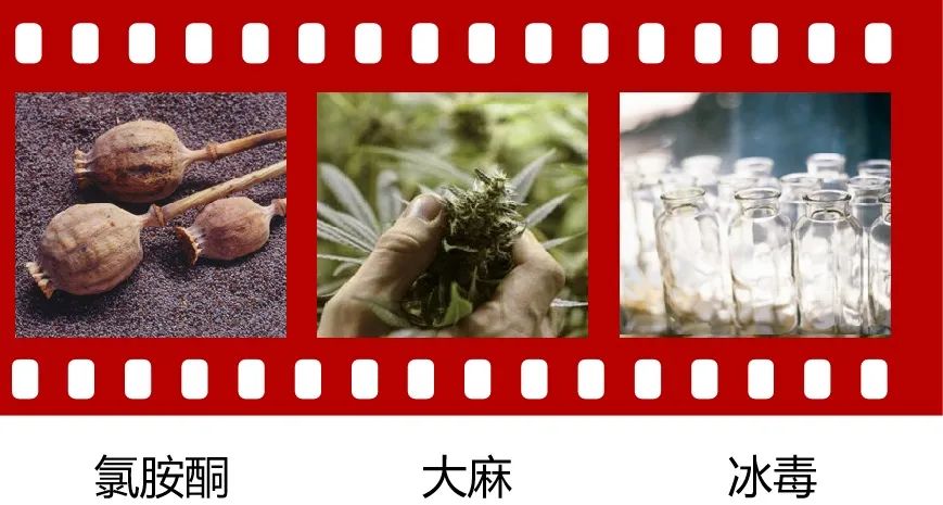 禁毒日来临珍爱生命远离毒品,禁毒日远离毒品珍爱生命图片