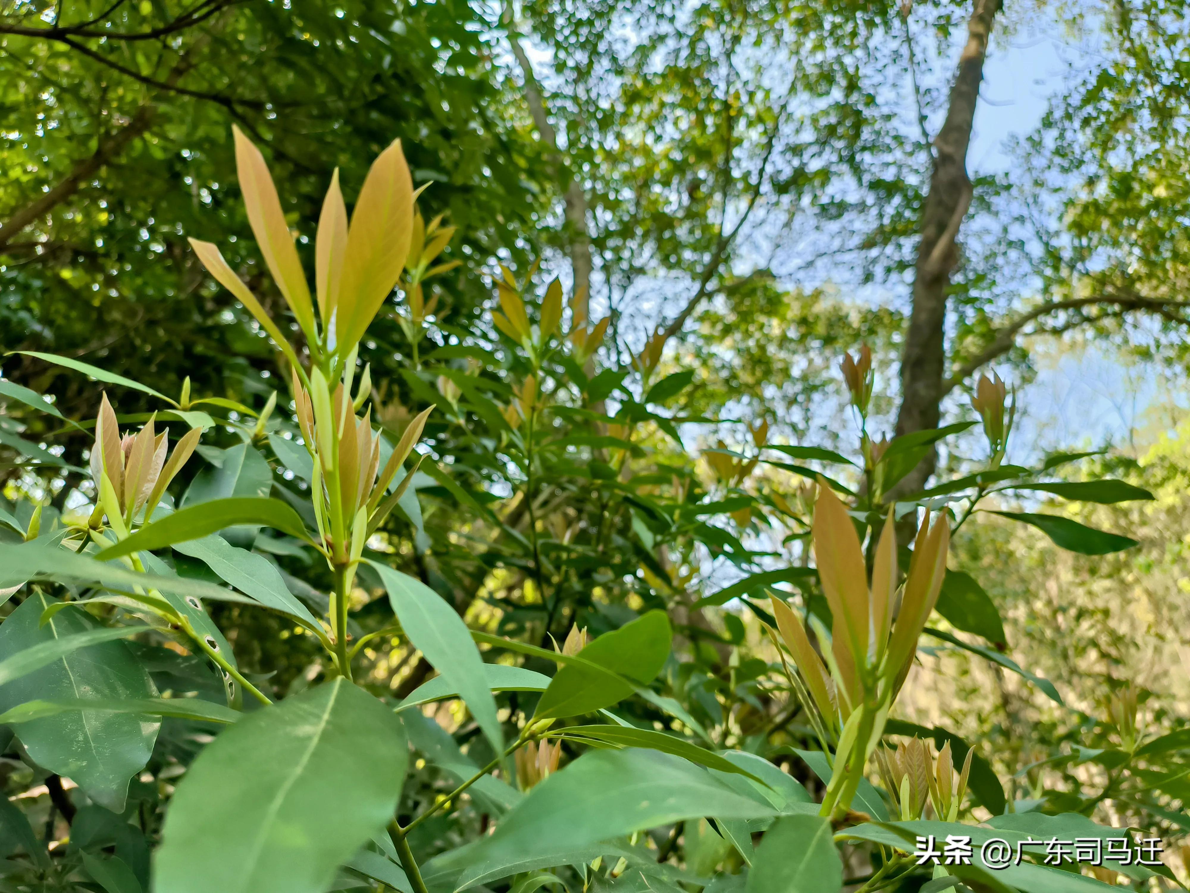 好玩的中山公园,中山公园这儿真美