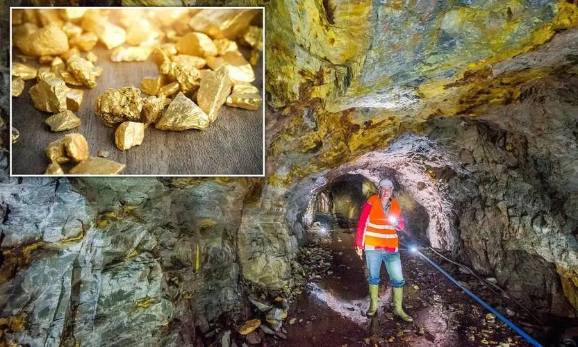 福建海边出现神秘金片，遭渔民哄抢一空，专家调查后：金片不简单