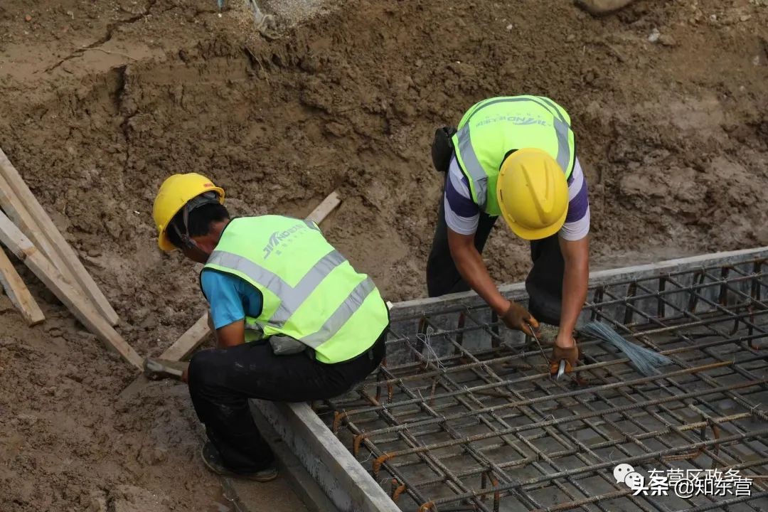 东营泮水公园火爆,东营泮水公园有植物吗