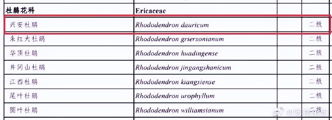 再次购买提示不能购买了,下次不要买这么多东西怎么回复