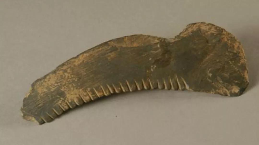 鲁班发明锯子过程简洁,鲁班用的锯子是他发明的吗