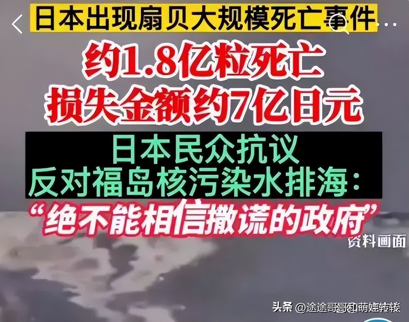 日本的繁星计划中国,什么是日本繁星计划