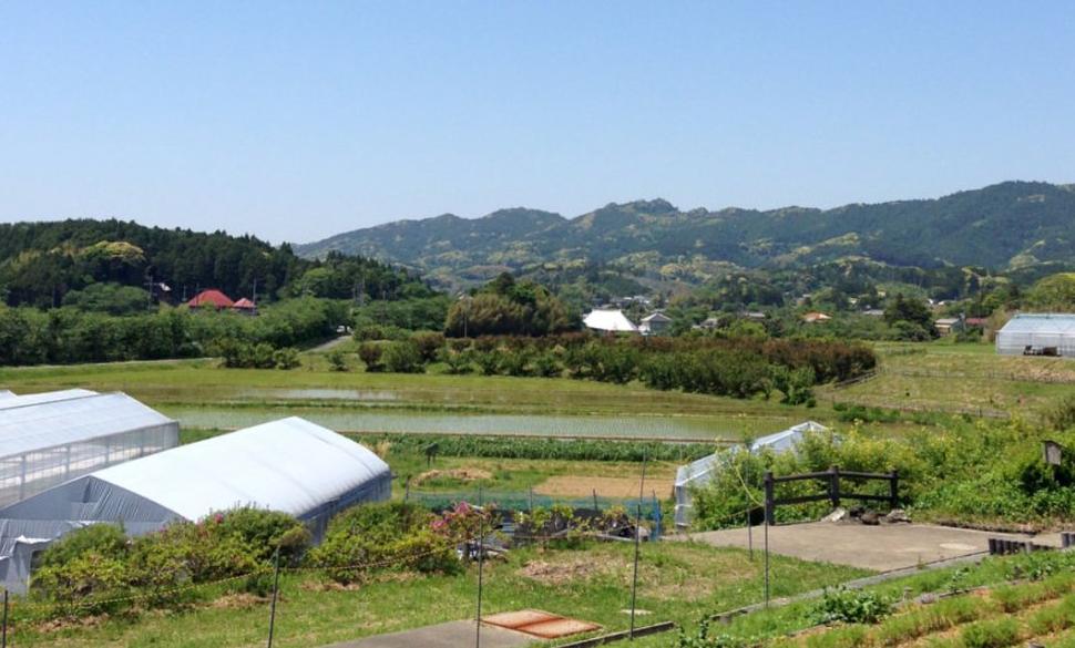 适合5万元创业的小生意利润,想做点小生意投资做什么好