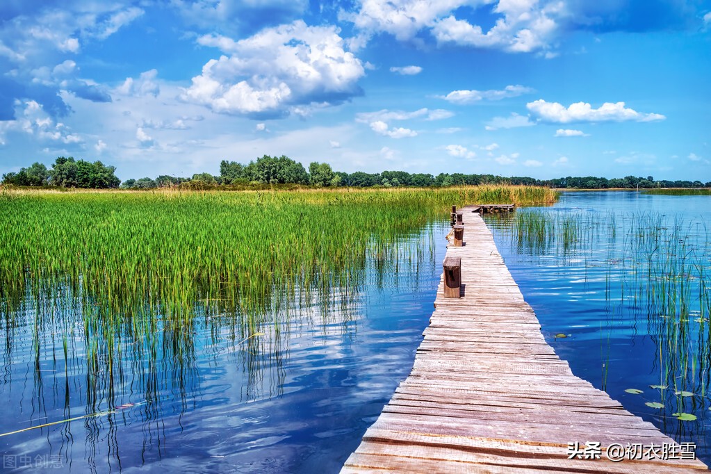 含有春字的古诗句100首,有关春的古诗词名句大全