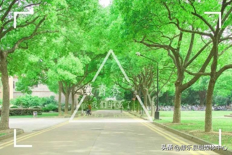 毕业季扬帆起航不负韶华,2024毕业季青春不散场