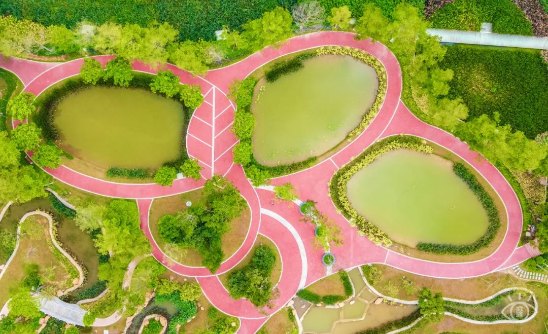 深圳最值得去的十个地方,深圳吃货必去的地方