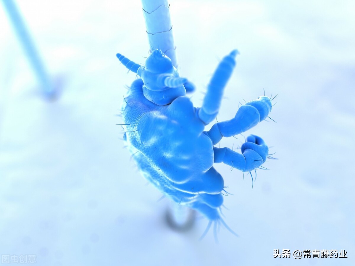 阴虱感染特别严重后如何治疗,怎样预防阴虱的传播