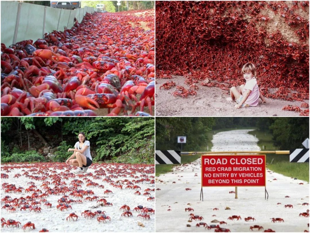 大开眼界30张有趣且罕见的趣图,20张让你涨知识的图