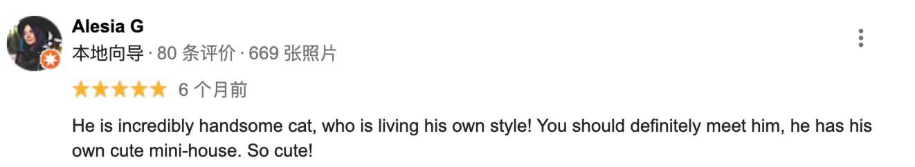 波兰一流浪猫成5星旅游景点,一只流浪的大肥猫