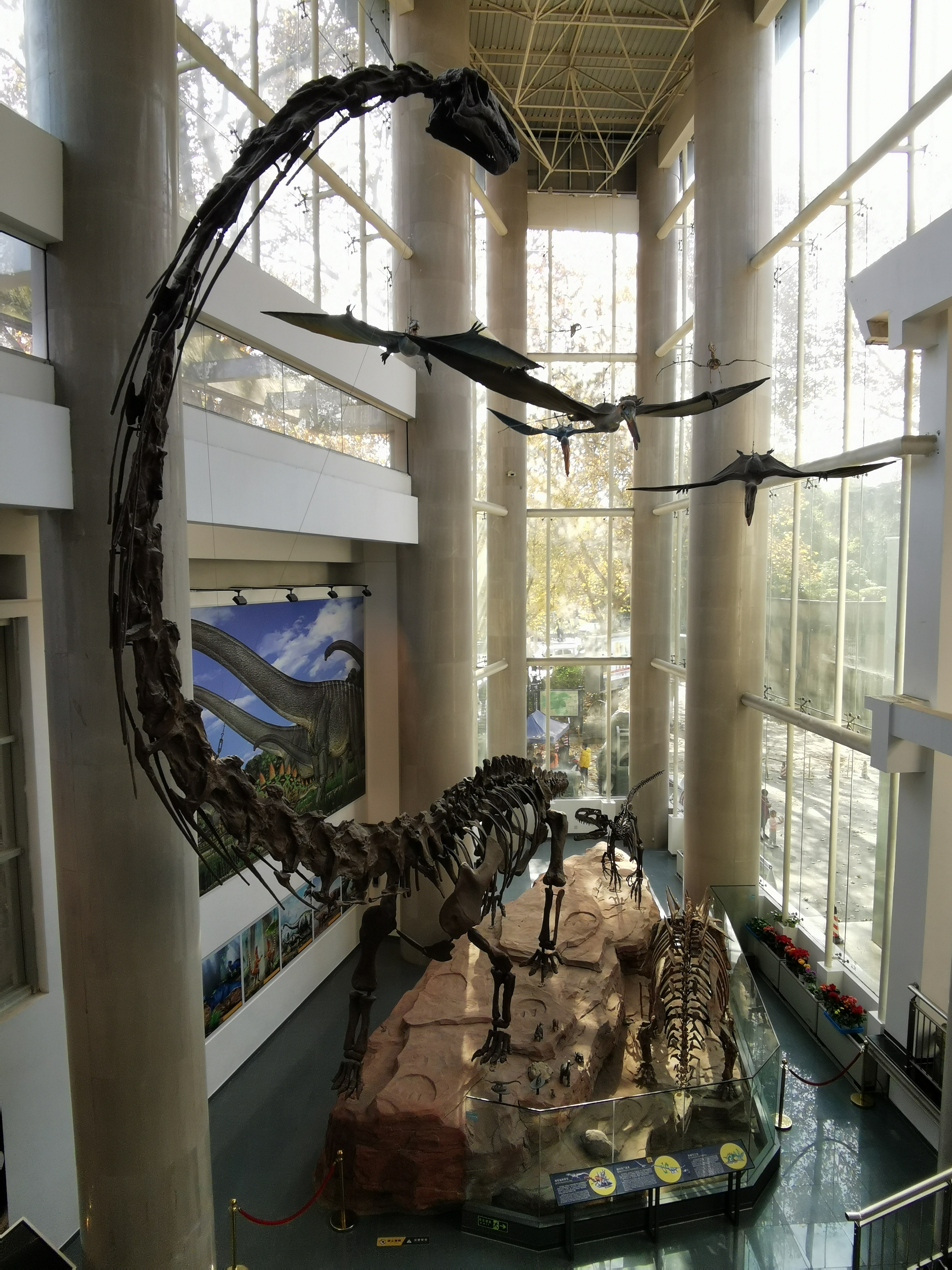 南京古生物博物馆观后感,古生物博物馆南京参观路线