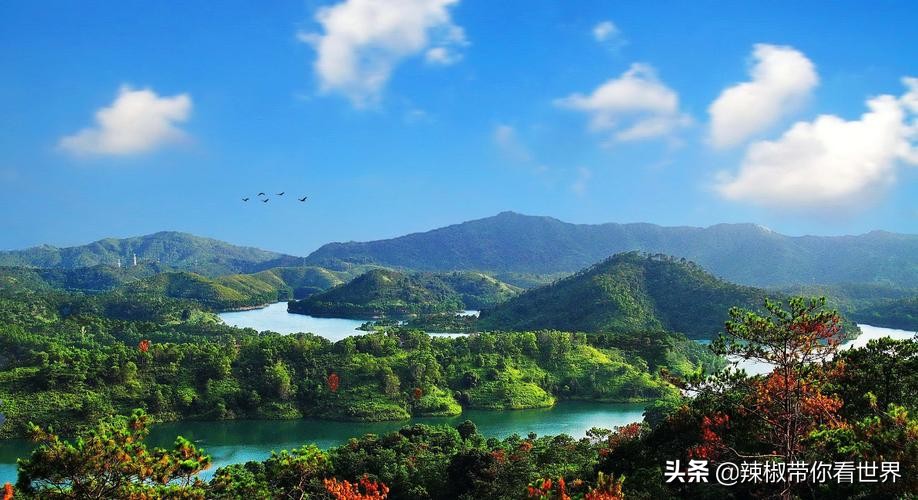 惠州市海岸线,惠州的海岸线