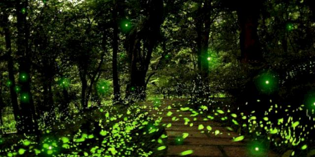 闈掔鏃呮父,鐪夊北闈掔