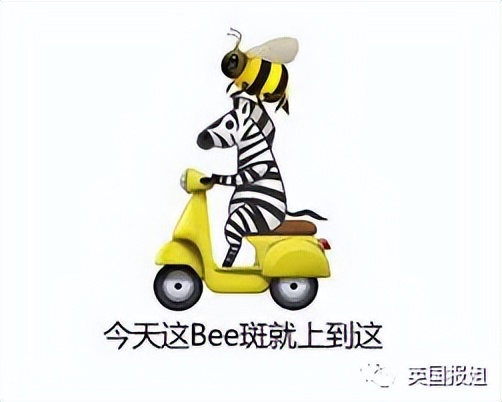 木头雕刻作品猫,手工雕刻木雕小猫