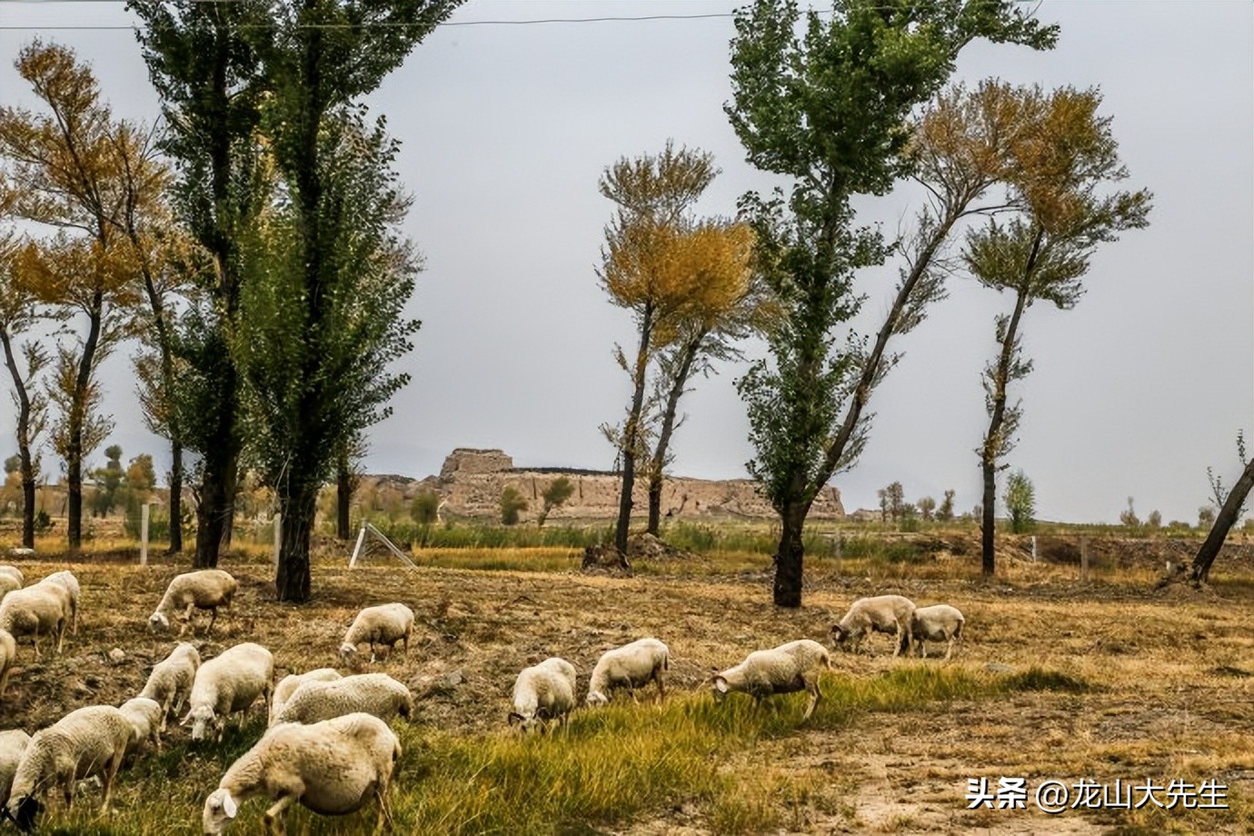闆佸寳灏忚灏樺焹钀藉湴275,闆佸寳灏忚灏樺焹钀藉湴145