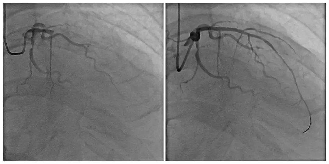 首批非公立医疗队支援武汉,首批医疗队支援武汉