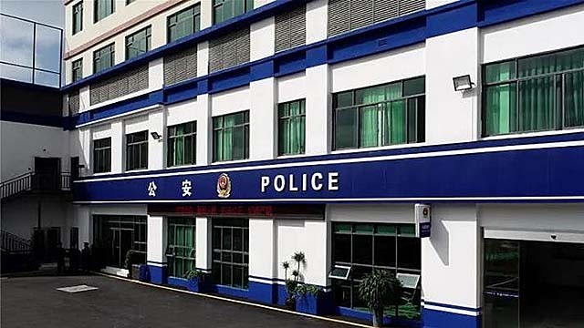 96年海南巨蟒为报恩甘愿当保姆,巨蟒为报恩守护十几年