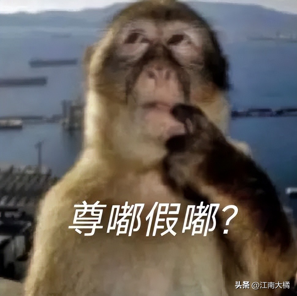 也不敢卖,就想自己看!226张淫秽光碟,沪一男子帮人搬家变扫货