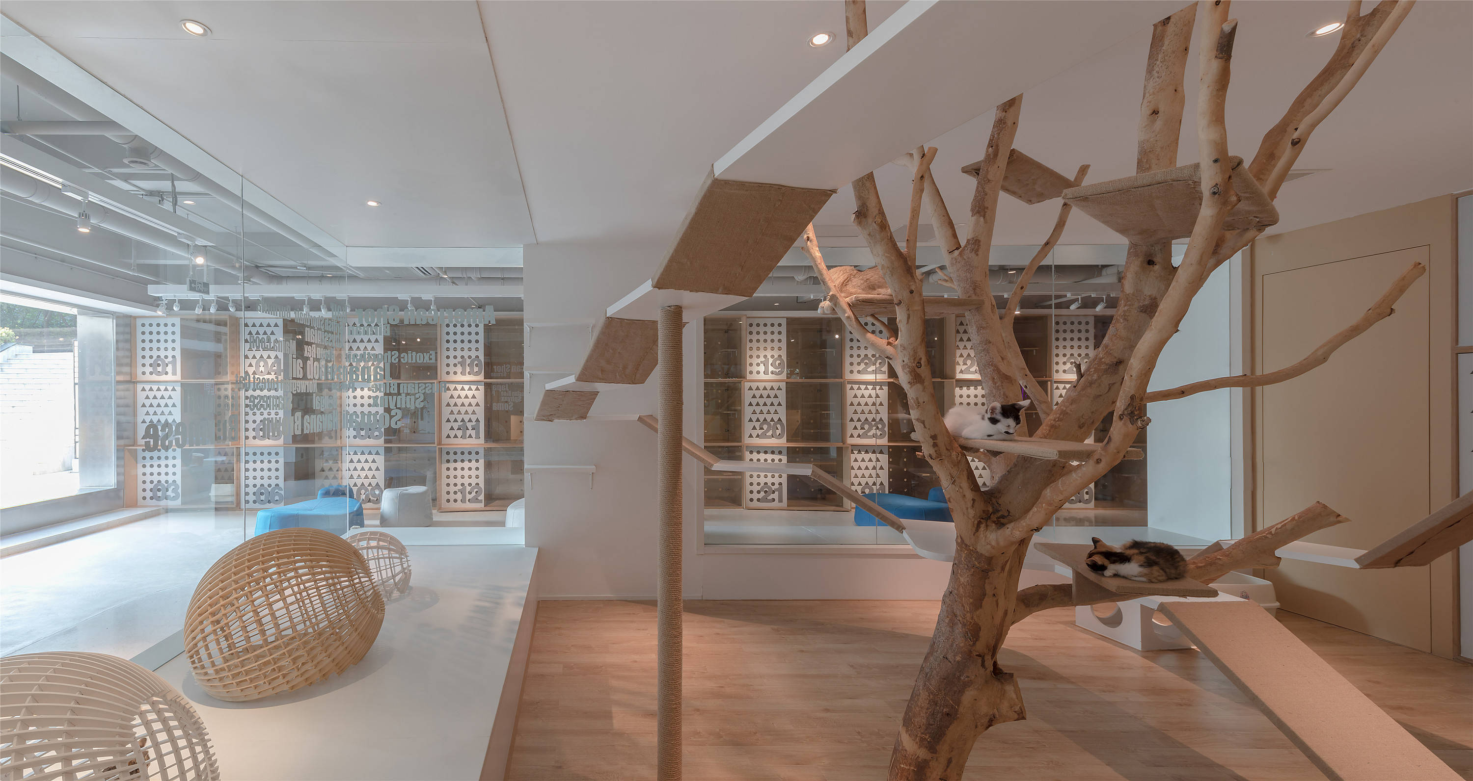 通州宠物店装修设计费用,深圳宠物店设计装修多少钱