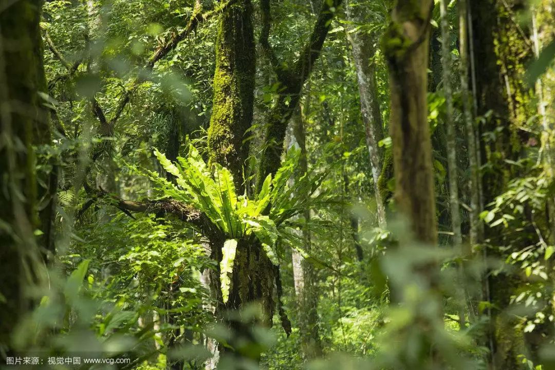 地理冷知识广西,从地理角度看印度尼西亚